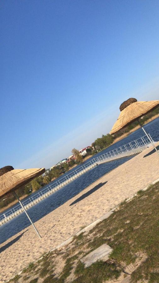 Camping Oaza Blonie Kornik Domki Standard - 3 Pokoje المظهر الخارجي الصورة
