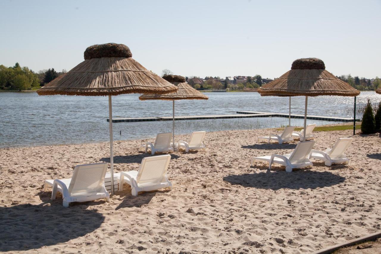Camping Oaza Blonie Kornik Domki Standard - 3 Pokoje المظهر الخارجي الصورة